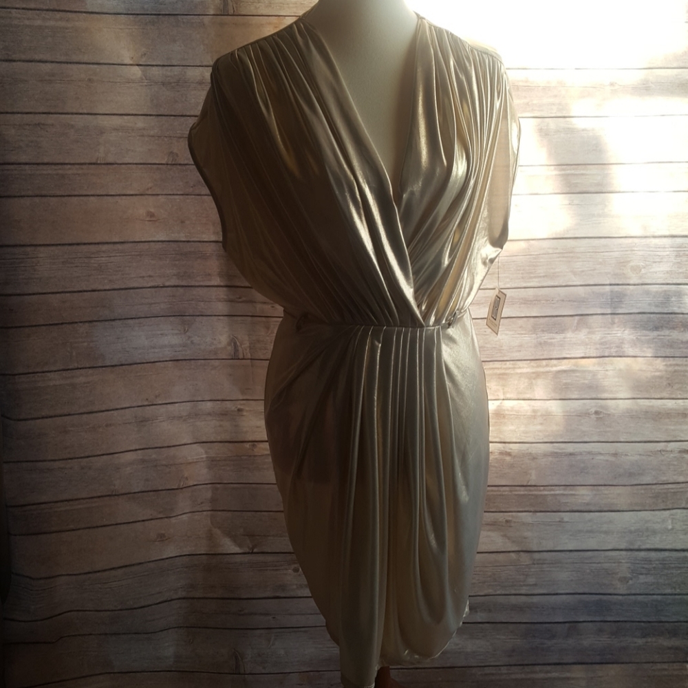 Beautiful NWT MEDIUM Gold Dress👗